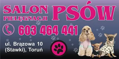 Salon Pielęgnacji Psów Ilona Dziadosz